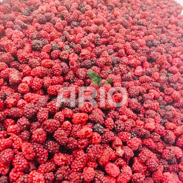 Frozen Dried Raspberry