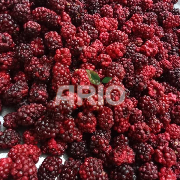freeze Dried Blackberry