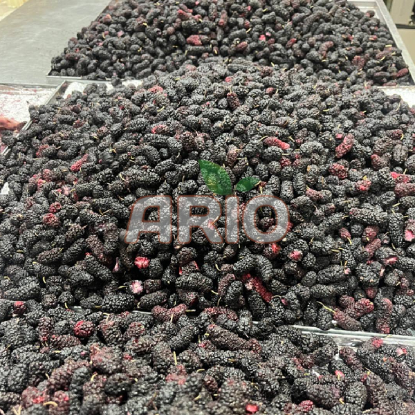 Freeze Dried Blackberry