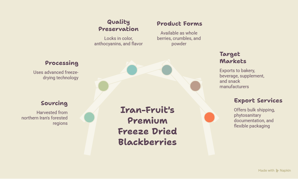 Iranian Freeze Dried Blackberry – Premium Quality for Global Markets
