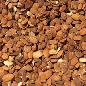 Peach Kernel