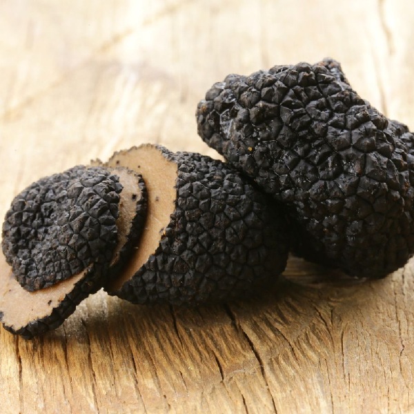 Truffle Mushroom