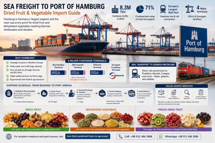 Sea Freight to Port of Hamburg: Dried Fruit & Vegetable Import Guide