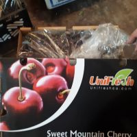 iran cherry export